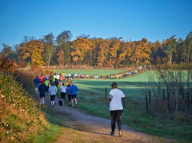 mansfield parkrun image